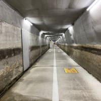 バラ園とお化けトンネル