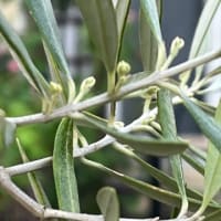 blog開設記念日に