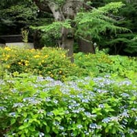 ★山手234番館（花と器のハーモニー2025）