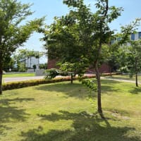 桜美林大学の受験講習会！！