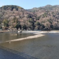 京都へ行きました