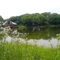 洞峰公園　お散歩&ランチ　ツーリング　2025y 0607 土曜日
