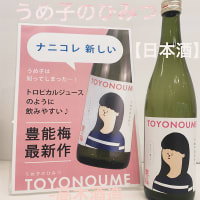 豊能梅 うめ子のひみつ 純米吟醸 火入れ（2025夏限定）
