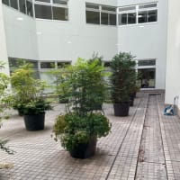 【１６４３】７／５　❷  埼玉医大　他