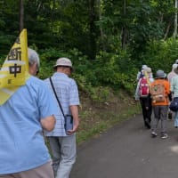 地区ウオーキングに参加しました、