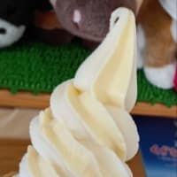 くずまき高原　岩手県岩手郡葛巻町　ソフトクリーム