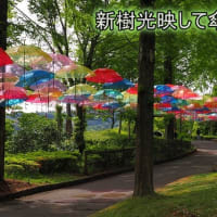 完全にお引越し完了します！