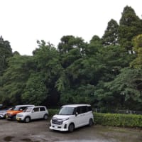 木々
