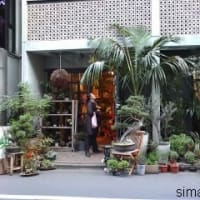 渋谷の花屋：葉花（はばな）