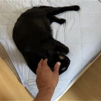 眠い子達ｗ