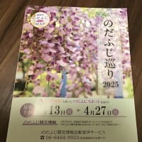 のだふじ巡り行ってきた
