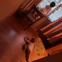 みーくん一歳11ヶ月！！