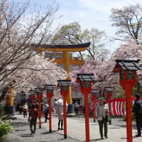 平野神社の桜と百済の神々と怨霊神・高野新笠　＠　京都妖怪探訪（７７９）