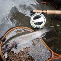 シーズン最初の山岳へイワナ釣りに