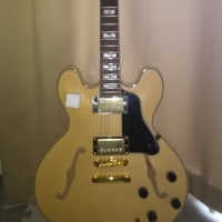 またエレキギター購入②