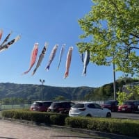 練習日でした(^^)