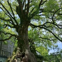 風の時代の働き方✨時間外勤務ってやる必要ある？！と思った話/オーバーワークは女子にとっていいことナシ