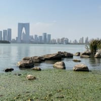 金鶏湖1周の旅