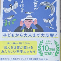 一気に読みました