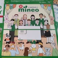予備回線をpovo2.0からmineoに変更