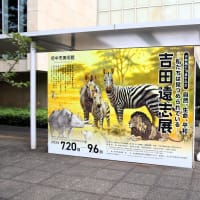 府中市美術館で、『自然、生命、平和　―私たちは見つめられている―　吉田遠志展』を観ました。