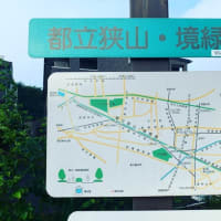 東京100kmチャレンジ