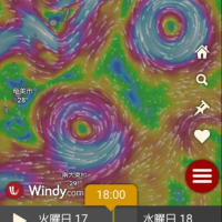 ルアーとアラ釣り　6月17日(火)