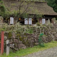 富士山眺望ウォーキング