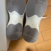 妻のスニーカーを買う。