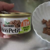 ブレイドの最近のフード