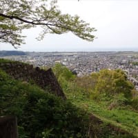 お城山・晩春の花