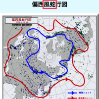 【偏西風蛇行】強風と「蛇」がキーワード？！