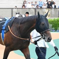 ウィークトルウェルス　香港ジョッキーズＣＴ　芝２０００　優勝！！