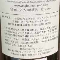 サッサイアの炭酸割り 2025 / Sassaia's spritzer vol:2