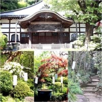 「東京のおへそ・国分寺」を巡る散歩