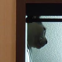禁断の