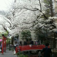 平成25年度。