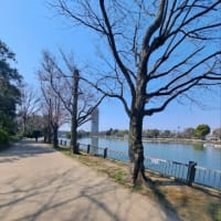春ですね