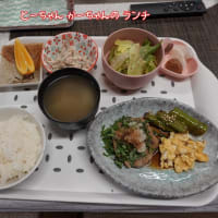 菜乃葉　室内カフェデビュー