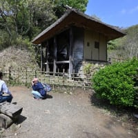 川崎市立民家園＊歩きカメラ４８