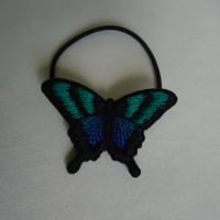 藤紫系のアゲハ蝶