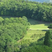 Gifu / Golf