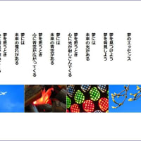 夢のエッセンス