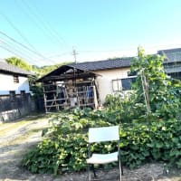 7月12日（土）②