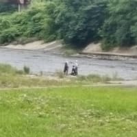 広瀬川鮎釣り解禁