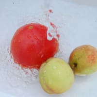 夏のトマト・・　水で冷やす