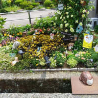 お墓は草で一杯。