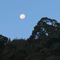 佐敷城跡と月