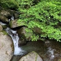 ３６ｃｍ、３８ｃｍ尺上連発、イワナの季節到来だ！