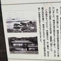 清水区興津　清見寺の桜と列車　その１（２０２４年４月）